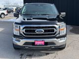 Used 2021 Ford F-150 Truck