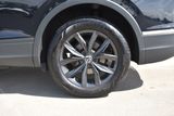 Used 2024 Volkswagen Tiguan SUV