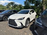 Used 2025 Lexus NX SUV