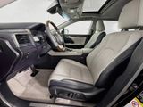 Used 2019 Lexus RX SUV