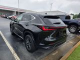 Used 2024 Lexus NX SUV