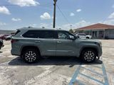 Used 2025 Toyota Sequoia SUV