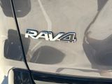 Used 2019 Toyota RAV4 Hybrid SUV