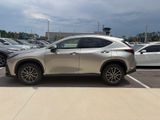 Used 2022 Lexus NX SUV