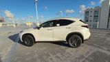 Used 2025 Lexus NX SUV