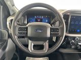 Used 2025 Ford F-150 Truck