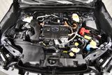 Used 2025 Subaru Forester Hybrid SUV