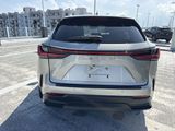 Used 2025 Lexus NX SUV