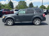 Used 2008 Ford Escape SUV