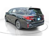 New 2026 Honda Odyssey Van
