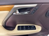 Used 2019 Lexus RX SUV