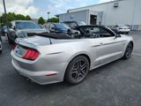 Used 2019 Ford Mustang Convertible