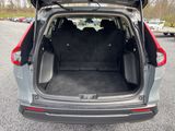 Used 2025 Honda CR-V SUV
