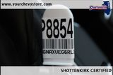 Used 2024 Chevrolet Equinox SUV