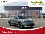 New 2026 Kia Niro EV SUV