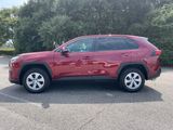 Used 2024 Toyota RAV4 SUV