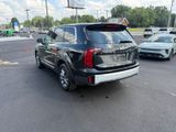 Used 2024 Kia Telluride SUV