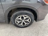 Used 2019 Subaru Forester SUV