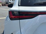 Used 2026 Lexus NX SUV