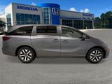 New 2026 Honda Odyssey Van
