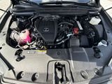 Used 2025 Lexus RX SUV