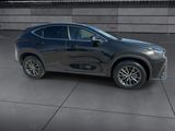 Used 2024 Lexus NX SUV