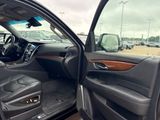 Used 2020 Cadillac Escalade SUV