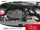 Used 2024 Hyundai Tucson SUV