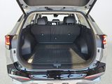 Used 2024 Kia Sportage SUV