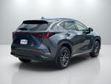Used 2024 Lexus NX SUV
