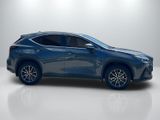 Used 2025 Lexus NX SUV