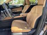 Used 2023 Lexus NX SUV