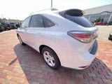 Used 2014 Lexus RX SUV