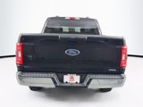 Used 2023 Ford F-150 Truck