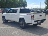 Used 2023 Toyota Tacoma Truck