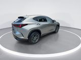 Used 2023 Lexus NX SUV