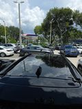 Used 2025 Subaru Forester SUV