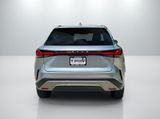 Used 2024 Lexus RX SUV