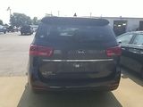 Used 2019 Kia Sedona Van