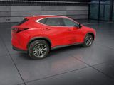 Used 2025 Lexus NX SUV