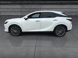 Used 2024 Lexus RX SUV