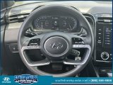Used 2024 Hyundai Santa Cruz Truck