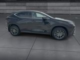 Used 2025 Lexus NX SUV