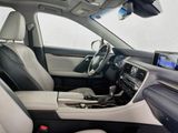 Used 2019 Lexus RX SUV