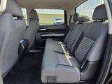 Used 2019 Toyota Tundra Truck