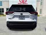 Used 2025 Toyota RAV4 SUV