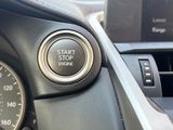 Used 2019 Lexus NX SUV