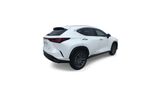 Used 2025 Lexus NX SUV
