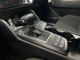 New 2026 Kia Sportage SUV