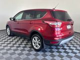 Used 2017 Ford Escape SUV